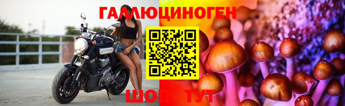 Черкесск  Псилоцибиновые грибы ЛСД  Псилоцибиновые грибы Cubensis  Вход с VPN 
